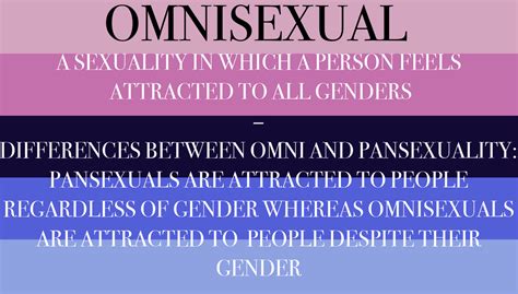 what is the definition of omnisexual|Omnisexual Meaning 